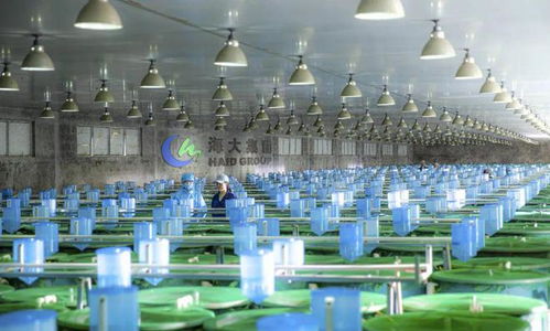 2024,哪些企業(yè)會(huì)倒下 哪些企業(yè)會(huì)雄起 哪些品種會(huì)暴雷 又有哪些機(jī)會(huì) 四問中國水產(chǎn)業(yè)
